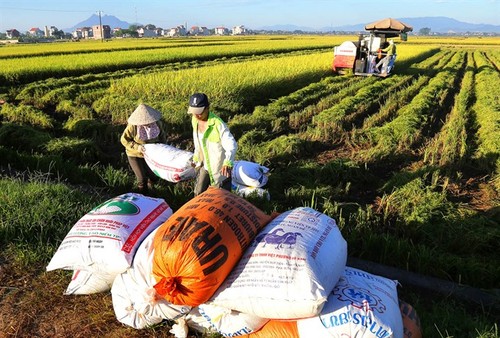 Investment in agriculture and rural areas encouraged  - ảnh 1